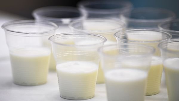 Назван продукт, препятствующий развитию рака и диабета
