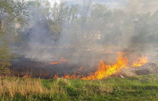 Пожарные-спасатели потушили пожары на травяных участках около 29 га. МЧС