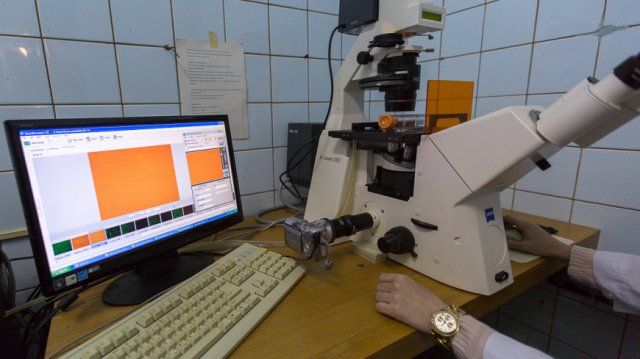 Ученые нашли связь между «разбитым сердцем» и развитием рака