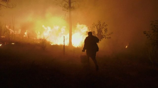 В Португалии 30 человек пострадали от лесных пожаров
