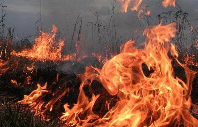 Пожар в селе Гохт Котайкской области Армении потушен