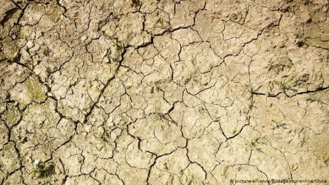 Человечество исчерпало годовую норму ресурсов планеты