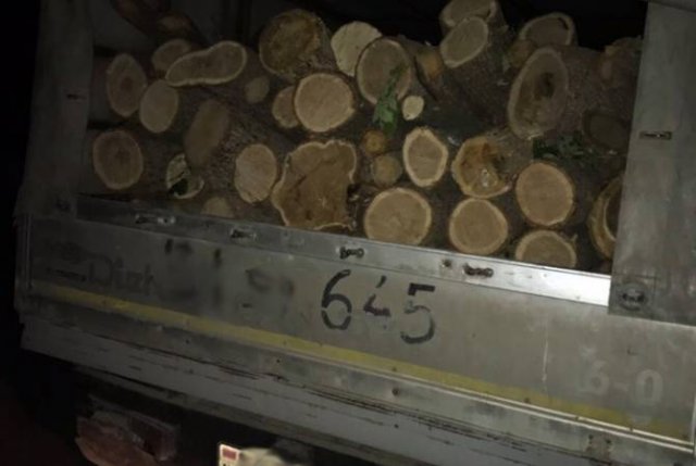 Инспекторы в Ванадзоре остановили автомобиль марки “Форд” с 3,2 кубометрами древесины