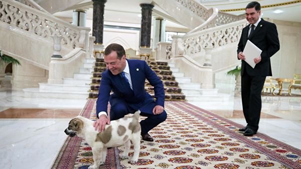 Медведев показал подаренного ему президентом Туркмении алабая