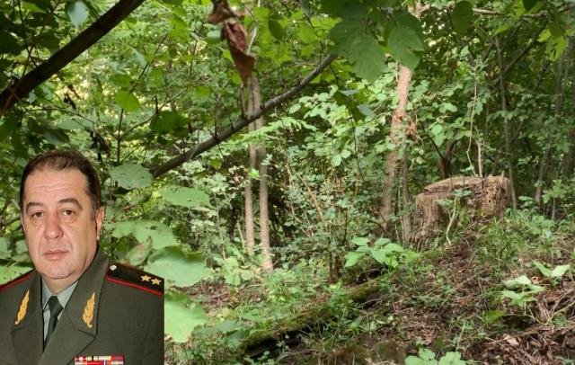 Генерал-лейтенант Аршалуйс Пайтян не платит за арендованные им 35 га леса