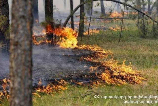 Спасатели продолжают работы по тушению пожара в лесу близ дороги Лехваз – Варданидзор