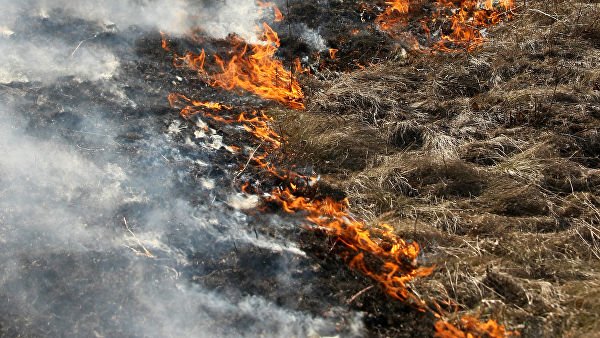 Площадь природного пожара на Ставрополье составила 20 гектаров