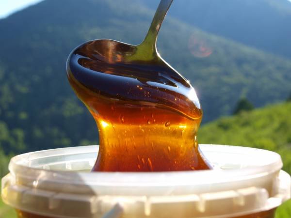 В Арцахе впервые пройдет медовый фестиваль