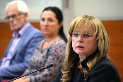 Подозреваемый в нападении на Памфилову объяснился