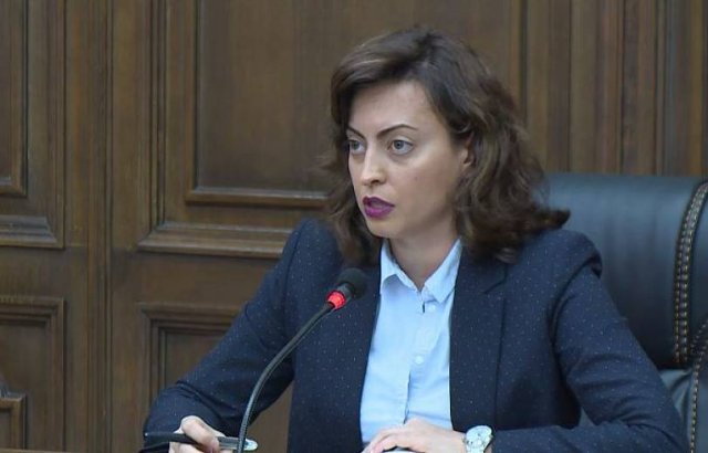 Об опасениях в связи с эксплуатацией Амулсара я сообщила своей политической команде. Лена Назарян