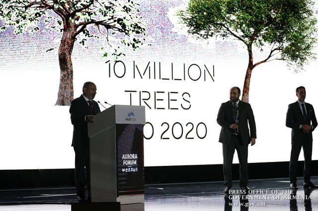 10 млн деревьев к 10 октября 2020 года: премьер Армении представил амбициозный проект правительства