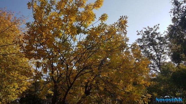В Армении воздух прогреется на 7-9 градусов, осадков не ожидается
