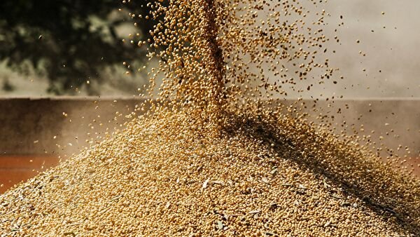 Ученые доказали опасность соевых продуктов