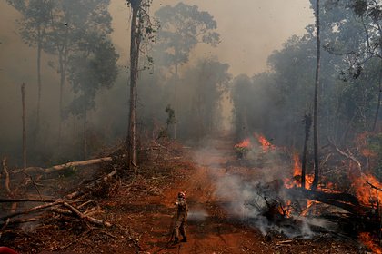 Ди Каприо ответил на обвинения в поджоге лесов Амазонии