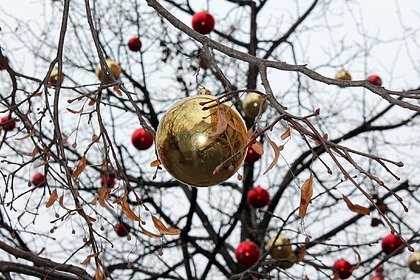 Новогодние декорации едва не убили россиянку