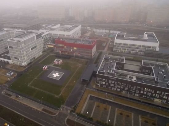 В больнице в Коммунарке скончалась профессор-эпидемиолог Арпик Асратян