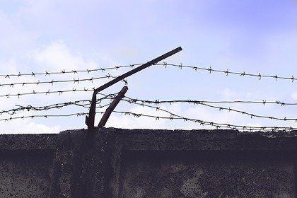 Россиян предложили выпустить из СИЗО из-за коронавируса