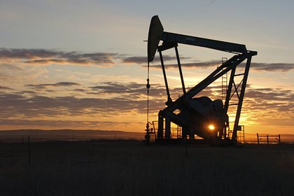 Цены на российскую нефть стали отрицательными