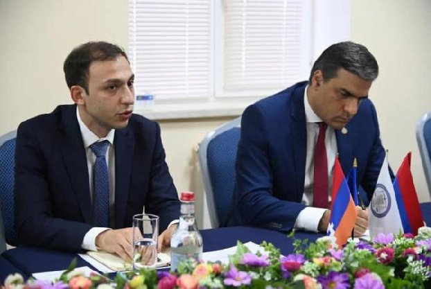 Арман Татоян и Гегам Степанян будут приглашены в комиссию НС по защите прав человека