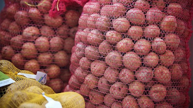 Из Турции в Грузию пытались ввезти 25 тонн опасного картофеля