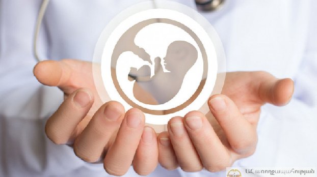 В Арцахе родился первый ребенок по программе экстракорпорального оплодотворения