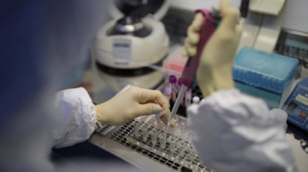 В Арцахе выявлен 51 новый случай заражения коронавирусом