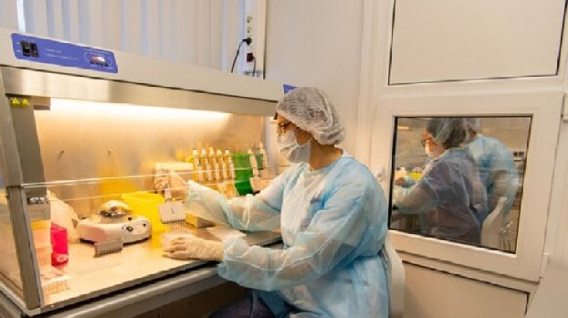 Россия усилила меры контроля на границе для недопущения завоза оспы обезьян