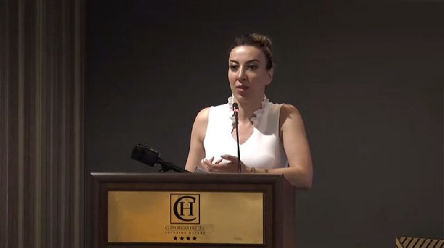 Антитурецкой риторики и пропаганды ненависти в Армении нет