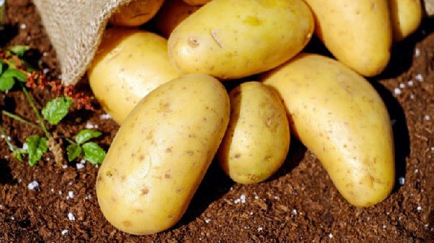 В Грузии цены на картофель достигли минимума