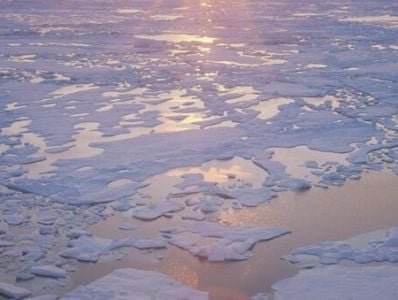 Летний морской лед может исчезнуть из Арктики в ближайшие годы